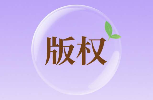 版权登记：2025年最新流程与法律风险全解析