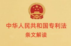 专利法第六十六条原文内