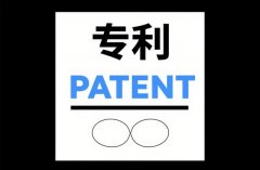专利授权书许可协议模板：许可人与被许可人权利义务详解