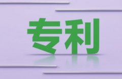 怎么看发明专利申请 ｜ 查看发明申请公布文本与审查进度