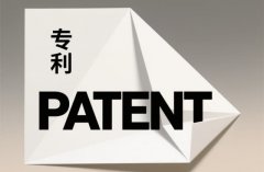 软件类怎么申请专利｜按软件性质判断可专利性的决策树